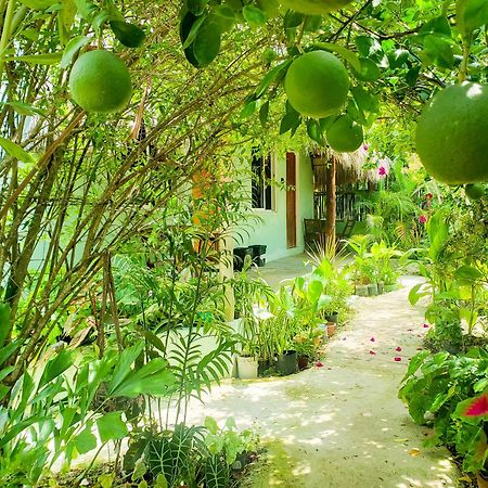 Las Palmas Bacalar Dış mekan fotoğraf