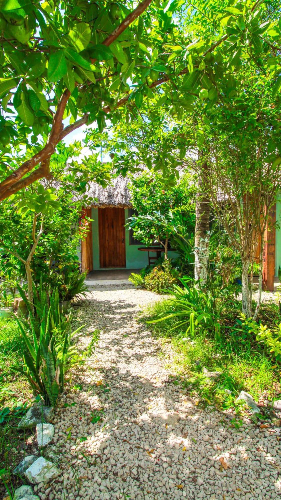 Las Palmas Bacalar Dış mekan fotoğraf