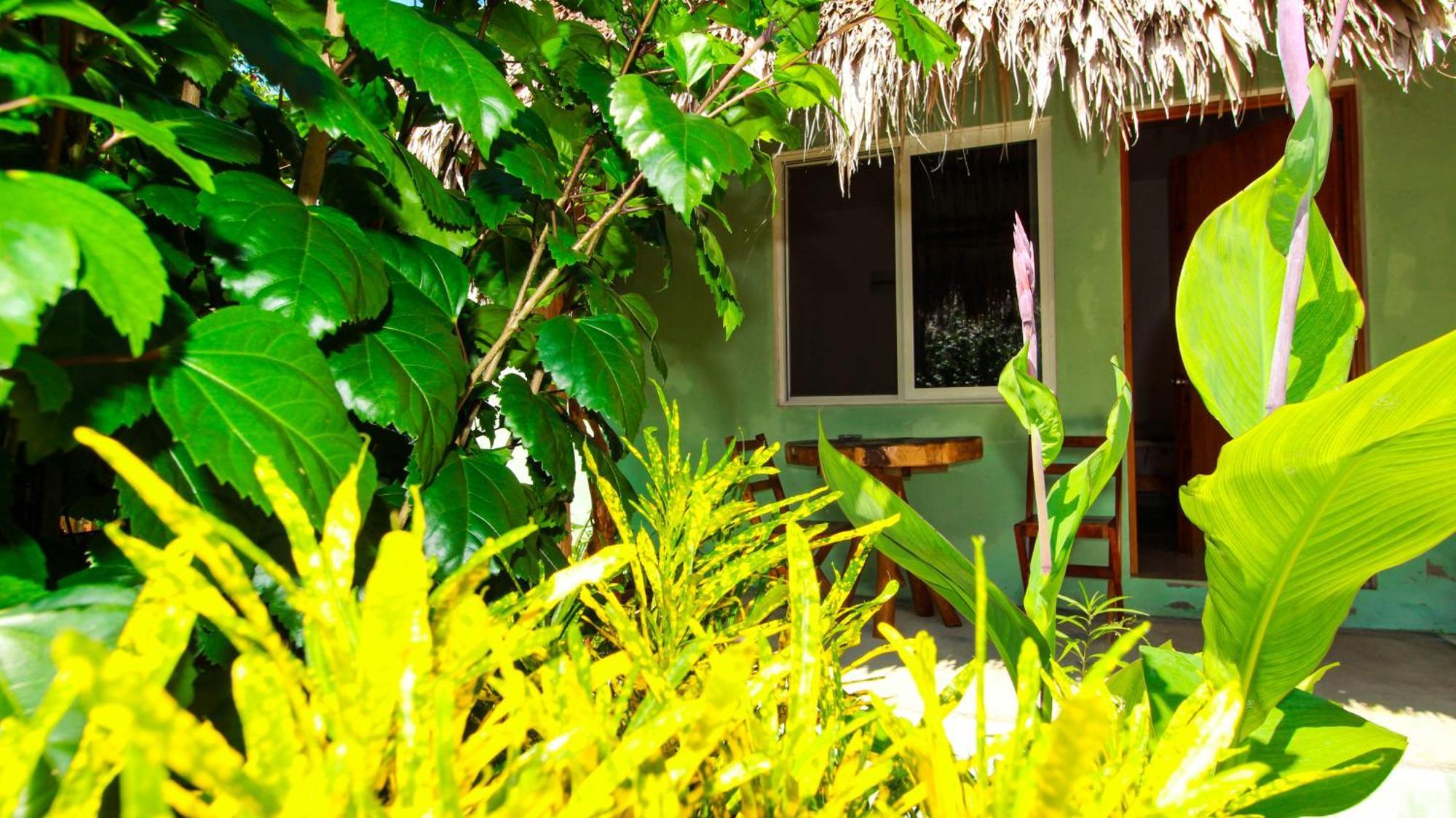 Las Palmas Bacalar Dış mekan fotoğraf