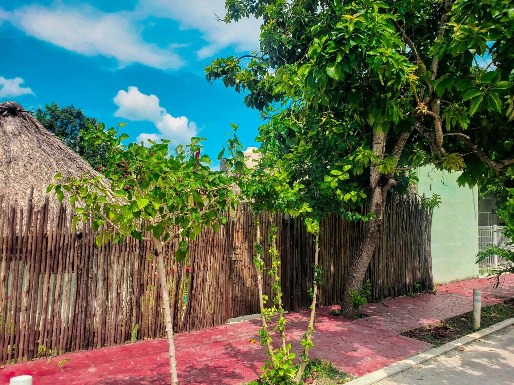 Las Palmas Bacalar Dış mekan fotoğraf